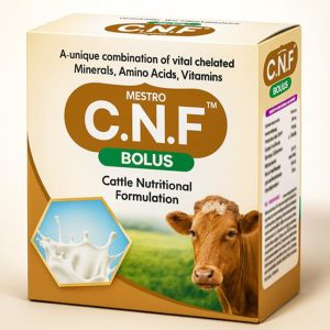 Mestro Cnf