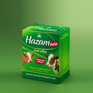 Hazam Batisa