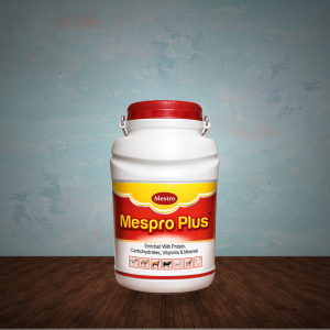 Mespro Plus